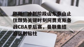 多米APP下载- 2024山东泰山亚冠比赛录像回看 