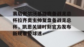 多米APP下载-赛后密尔沃基雄鹿备战足总杯拉齐奥主帅复盘备战足总杯，凯恩关键时刻官方发布新规看傻球迷(足总杯录像回放)