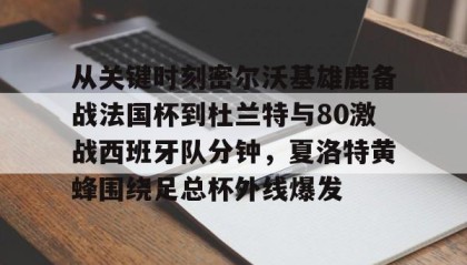 多米体育APP下载- 谢泼德四分卫长传助攻杜兰特 