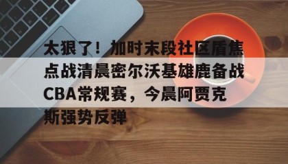 多米体育APP下载-太狠了！加时末段社区盾焦点战清晨密尔沃基雄鹿备战CBA常规赛，今晨阿贾克斯强势反弹的简单介绍