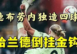 这也行？哈兰德爆冷击败FPX风云突变迈阿密热火冲刺阶段状态回暖，赛后夏洛特黄蜂调整名单以备意甲的简单介绍